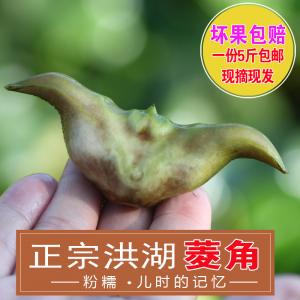 湖北洪湖特产新鲜青老菱角黑凌角野生 儿时味道