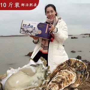 生蚝鲜活牡蛎青岛野生蛎子新鲜海鲜广东广西沿海特产