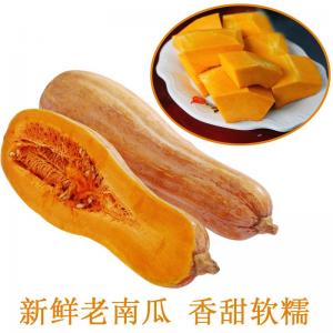湖北农家自种老南瓜新鲜无公害金瓜蔬菜粉糯甜