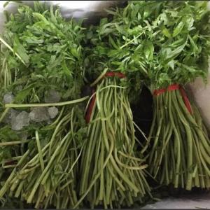 湖北特产新鲜芦蒿 泥蒿 藜篙蔬菜 去叶去老根