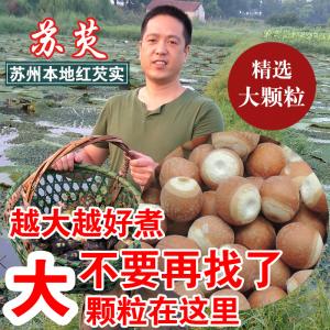 江苏特产鸡头米大粒芡实新鲜农家自产红皮干货茨实仁鸡头米
