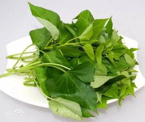 ����Ҷ ��� ������Ҷ