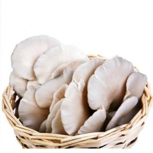 平菇 蚝菇、黑牡丹菇  台湾又称秀珍菇