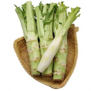 芥菜头 长头菜 