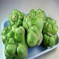 圆菜头 大头菜 云南通称 根用芥