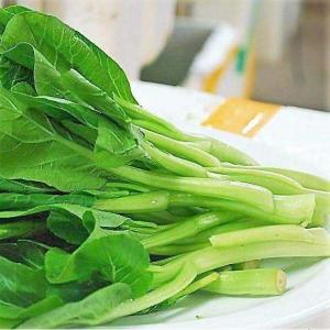 ���� �˼� ���� ���ͷ Сư���� ����� ������