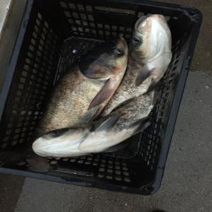 ��ͷ�㡢��ͷ�㡢���㣬�׳����㡢���㡢���㡢���㡢���㡢����