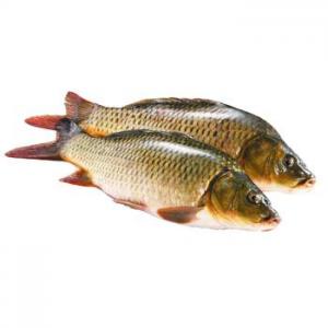 ���� ���� ���� ����