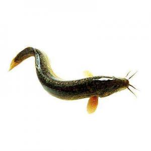 ����\�����������㡢š�� ��������ůƢ ��� ���������