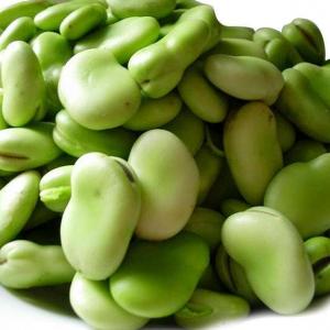 蚕豆米、蚕豆瓣 大棚种植蔬菜 四季常健