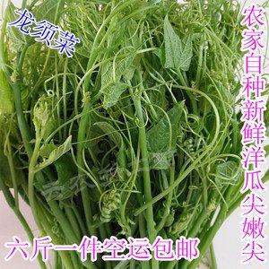 �����ز�����ˡ���������ۼ� 