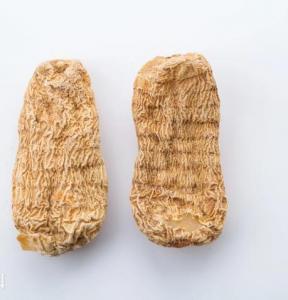 ���� �����ز�