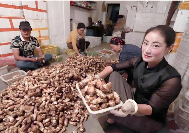 ���� ���ɿ�Ģ����ަ���Ͼ� �����Ĵ������ز�