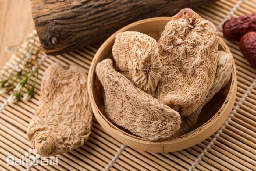 ���� �����ز�